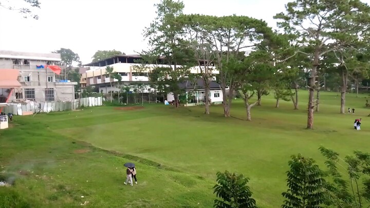 Green scape