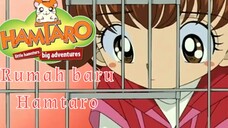 【 FANDUB INDONESIA 】Rumah Baru Hamtaro - Hamtaro (2002)