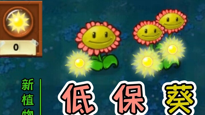 New Plant: Sunflower