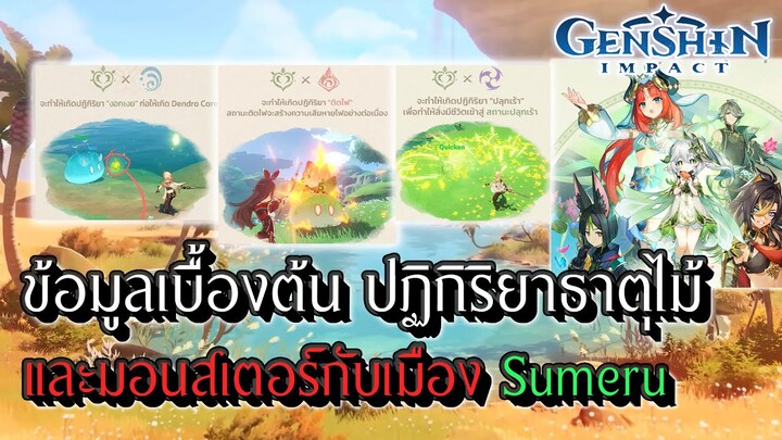 Genshin Impact | ข้อมูลปฏิกิริยาธาตุไม้ มอนสเตอร์กับสถานที่ ก่อนเข้า Sumeru !