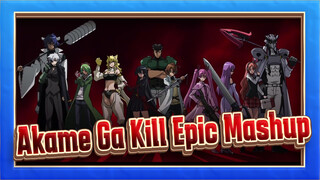 Flesh and Blood / Firm And Unyielding | Akame Ga Kill Epic Mashup