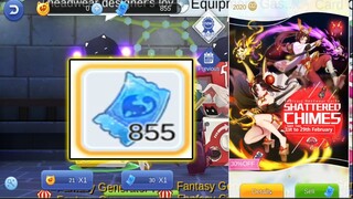 Using 855 Big Cat Voucher I (Blue Ticket) | Ragnarok Mobile Eternal Love