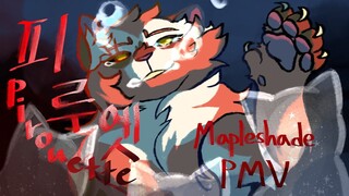 [Warriors] Mapleshade PMV - 피루엣(Pirouette) (CW)