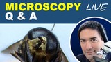 ChatGPT asked me 10 microscopy questions (Pre-recorded)