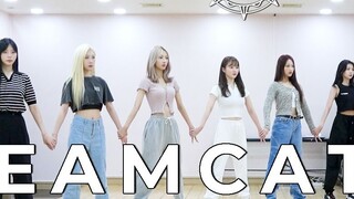 Video vũ đạo của Dreamcatcher 'BE Because' (Phiên bản phòng tập)