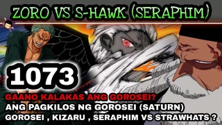 One piece 1073: Zoro vs S hawk | Gorosei , Kizaru , Seraphim vs Strawhats? Gaano kalakas ang Gorosei