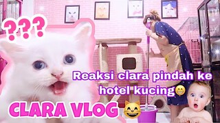 CAT SITUATION😸 MEMPERSIAPKAN HOTEL UNTUK CLARA SI KUCING KECIL & UNBOXING CAT LITTER BOX EXCLUSIVE