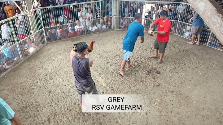 RSV GAMEFARM