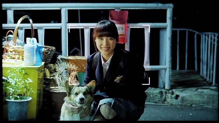 ในความทรงจำของฉัน คุณคือความอ่อนโยนที่ไม่อาจลบเลือนได้