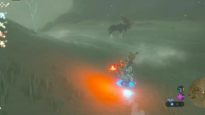 Zelda Ski Adventure