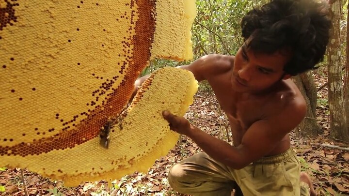 Forest Man_ Harvest Beehive and Honey by Brave Bushmen