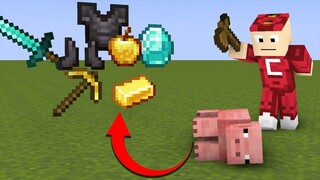 Minecraft Nhưng đánh Mobs rơi Trang Bị Cực Víp