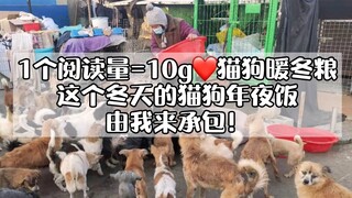 1个阅读量=10g暖冬粮，免费请流浪猫孩子吃一顿饱饭！