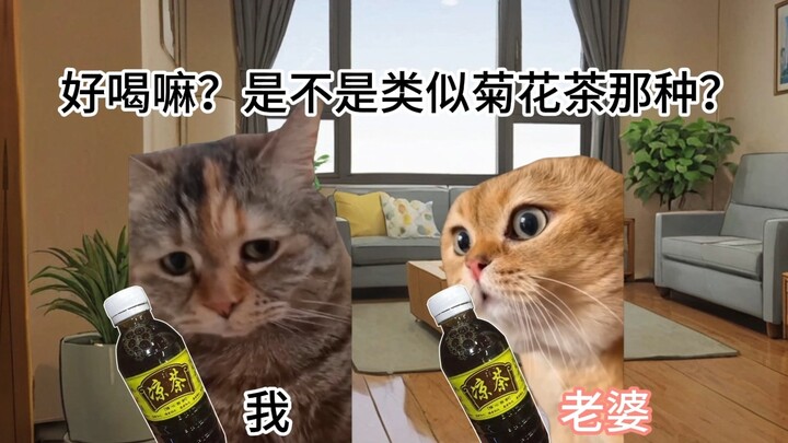 [猫meme]广东凉茶比我的命还苦……