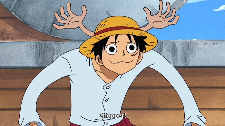 being luffy!🤣