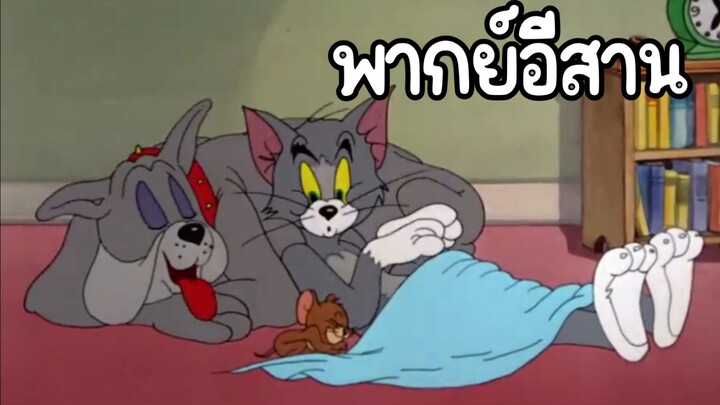 ทอมแอนด์เจอร์รี่ (พากย์อีสาน) ตอน สงบศึก