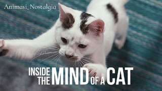 Inside the Mind of a Cat (2022) Malay Sub