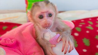 Congratulations!! Wow, super strong & healthy boy Luca can sit down holding a milk bottle by himself