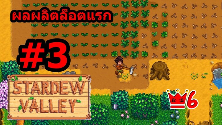 Stardew Valley Co-op Saiber #3 ผลผลิตล็อตแรก