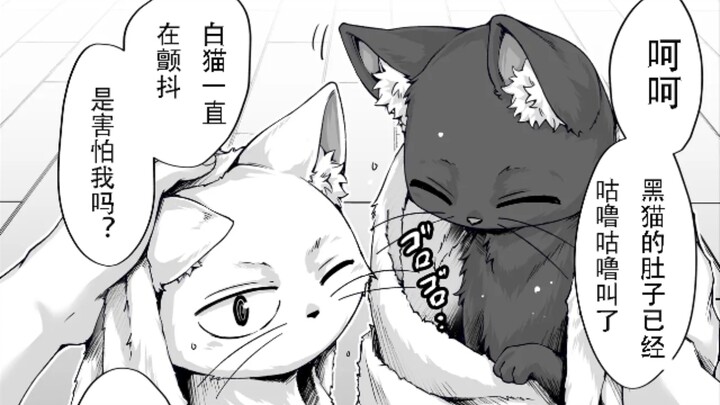 捡到的猫是辣妹（拾った猫がギャルだった話）