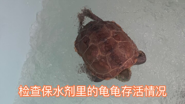 你们的吸水树脂沉降了吗