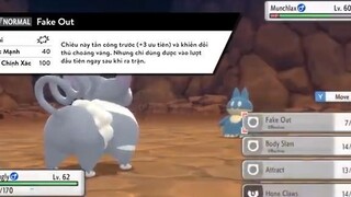 Một chiếc video ngắn về những Pokemon MÈO