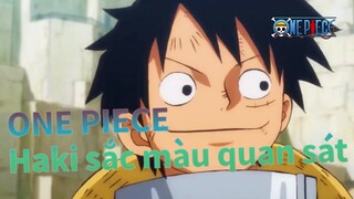 [ONE PIECE] Haki sắc màu quan sát đỉnh cao của Luffy