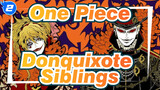 One Piece|【 Birthday Celebration】Donquixote Siblings_2