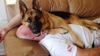 Funniest Moments Dog and their Human Make You Laugh So Hard!😍