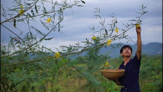 Mùa Nước Nổi Cặp Mé Sông Hái Bông Điên Điển Nấu Lẩu