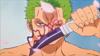 Roronoa Zoro -Shell Shocked