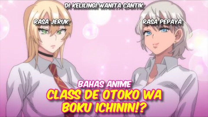 Bahas Anime Nekopoi - Class de Otoko wa Boku Ichinin