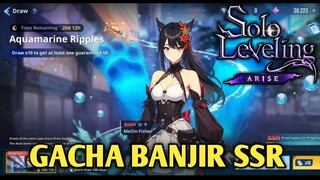 GACHA 230X BANJIR SSR  | SOLO LEVELING: ARISE