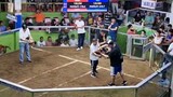 Lipa Arena 7 cock finals ft7, Dragon Hatch win