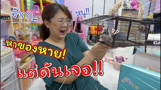 หาของหายแต่ดันเจอ! หนูบุกห้องของเล่น!! | แม่ปูเป้ เฌอแตม Tam Story