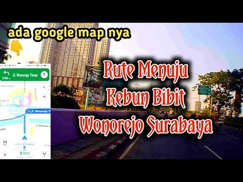 Rute kebun bibit wonorejo surabaya