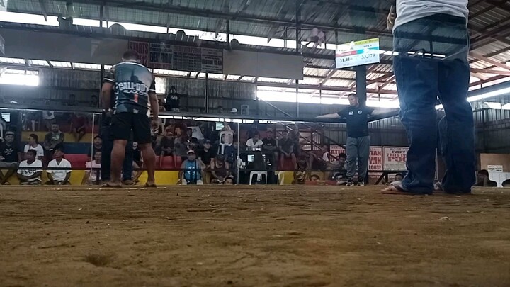 Win stag