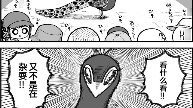 About the story of Peacock-san who failed to express his love in public and became a joke for everyo