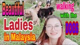 Beautiful ladies in malaysia (walking with the dogs)