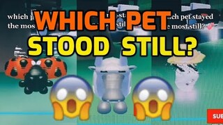 TIME WARP SCAN ADOPT ME PETS 2 - WHICH PET STOOD STILL? TIME WARP SCAN TIKTOK COMPILATION, INSTAGRAM