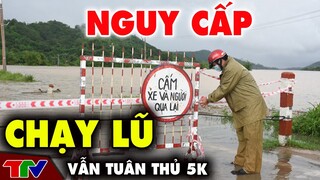 [ DỊCH VIỆT NAM ] Sáng 28/10: Tất tả chạy lũ vẫn tuân thủ 5K