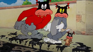 Tôi, Tom, sẽ là cậu tiên nhỏ ngày hôm nay.
