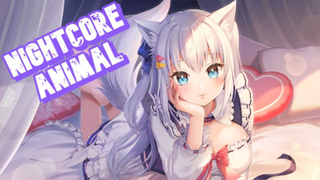 Nightcore  Animal