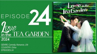 🇨🇳EP24 FINALE Love In The Tea Garden (2024)