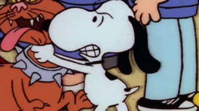 [Snoopy] Con mèo xấu bắt nạt kẻ ngu ngốc, và anh ta tấn công hai lần để tranh giành tình bạn.