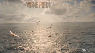 one piece movie