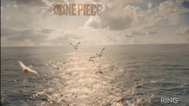 one piece movie