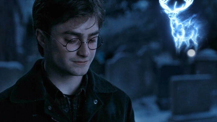 【Drarry】I used to like you very much (Plot)