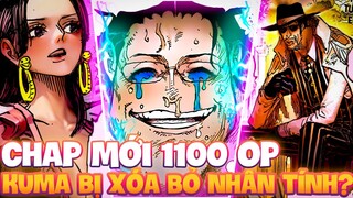 CHAP MỚI 1100 OP | KUMA BỊ XÓA BỎ NHÂN TÍNH | KIZARU ĐỒNG CẢM VỚI KUMA?