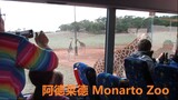 阿德莱德 Monarto Zoo
